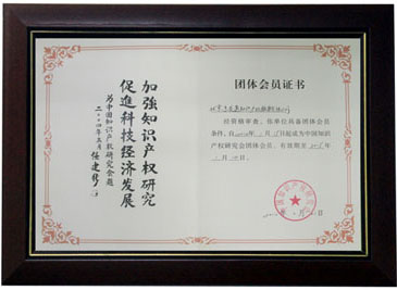 中國知識(shí)產(chǎn)權(quán)研究會(huì)團(tuán)體會(huì)員